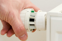 Buddileigh central heating repair costs