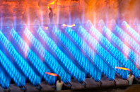 Buddileigh gas fired boilers